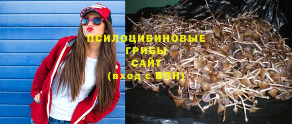гидропоника Алзамай