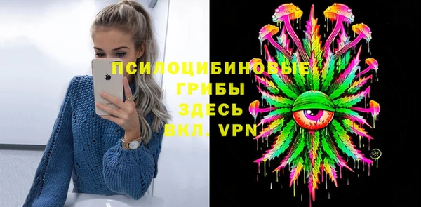 гидропоника Алзамай