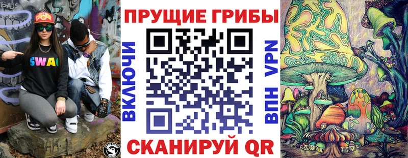kraken зеркало  Советская Гавань  Псилоцибиновые грибы мицелий 