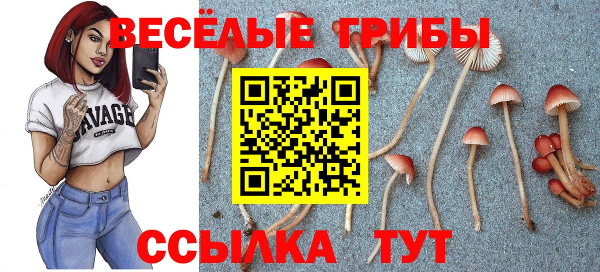 Советская Гавань  Галлюциногенные грибы Psilocybine cubensis  Вход с VPN  Псилоцибиновые грибы MAGIC MUSHROOMS 